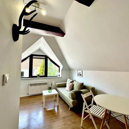 Studio Zubrova *
